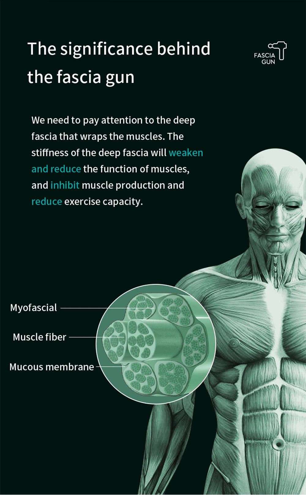 WaveGear Inc. professional muscle massage gun, exercise gear for muscle recovery and pain relief, with ergonomic design.